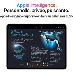 APPLE - iPad Air M3 (2025) - 11 - Wi-Fi - 256Go - Gris sidéral