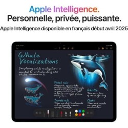 APPLE - iPad Air M3 (2025) - 13 - Wi-Fi + Cellular - 256Go - Gris sid
