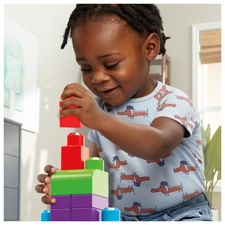 Mega Bloks - Sac Medium Classique 60 briques - Briques de construction - 12 mois et + DCH55 Mega Bloks - Sac Medium Classique 60 briques - Briques de construction - 12 mois et + DCH55