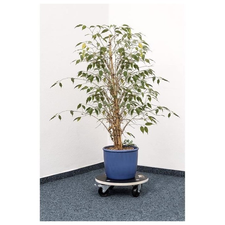 MEISTER Chariot de manutention a roulettes 380 mm 200 kg MEISTER Chariot de manutention a roulettes 380 mm 200 kg