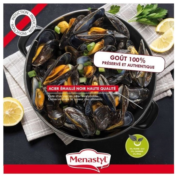 Marmite a moule - MENASTYL - 3645562 - En acier émaillé - Noir - 18 cm - 2,7 litres - Tous feux dont induction