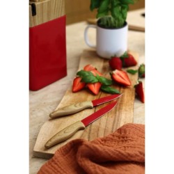 Bloc de couteaux 6 pieces - MENASTYL - 5041061 - Lame céramique - En