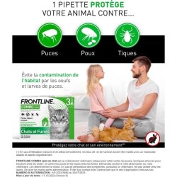Frontline Combo chat - Anti-puces anti-tiques pour chat - 3 pipettes