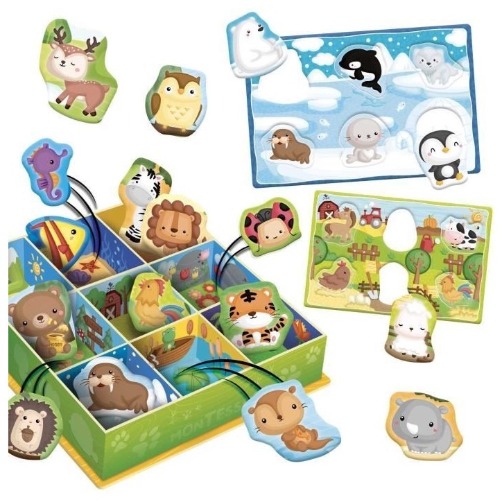 Boîte d'apprentissage Tri animaux - Jeu Montessori - LISCIANIGIOCHI - Jeu de classification, Apprentissage des habitats Boîte d'apprentissage Tri animaux - Jeu Montessori - LISCIANIGIOCHI - Jeu de classification, Apprentissage des habitats