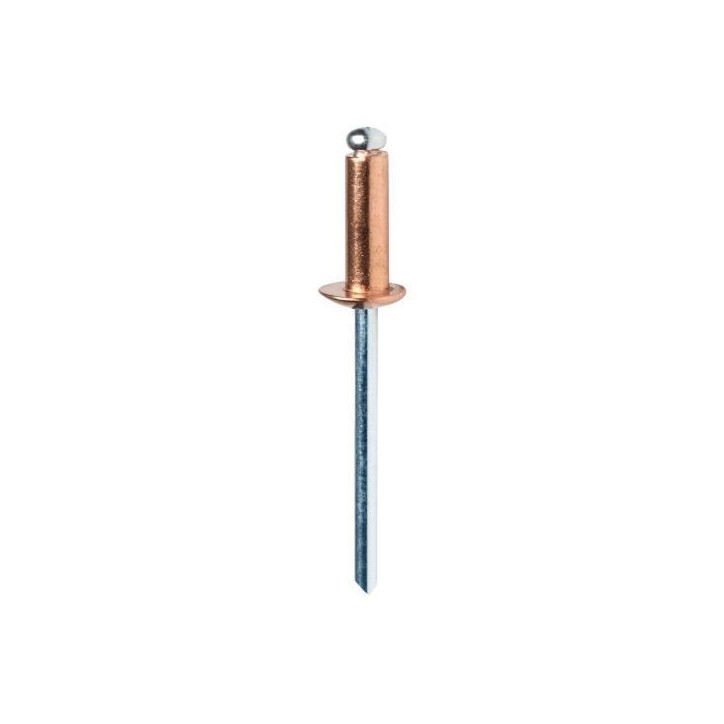 RAPID - Rivets cuivre Ø4,8 x 12mm, rivets aveugles pour placo, paroies creuses - Boîte 50 + 1 Foret - (5001467) RAPID - Rivets cuivre Ø4,8 x 12mm, rivets aveugles pour placo, paroies creuses - Boîte 50 + 1 Foret - (5001467)
