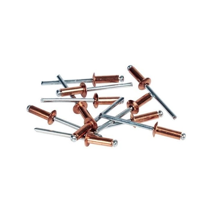 RAPID - Rivets cuivre Ø4,8 x 12mm, rivets aveugles pour placo, paroies creuses - Boîte 50 + 1 Foret - (5001467) RAPID - Rivets cuivre Ø4,8 x 12mm, rivets aveugles pour placo, paroies creuses - Boîte 50 + 1 Foret - (5001467)