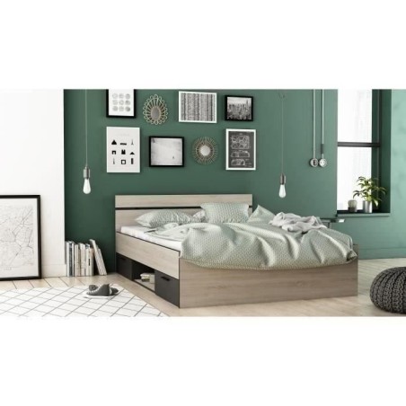 DEMEYERE Michigan Lit adulte 140x190 cm - 2 tiroirs et 1 niche - Industriel - Décor chene brossé et noir