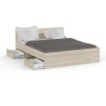 Demeyere Lit adulte MICHIGAN - 160 x 200 cm - Mulitiples rangements -