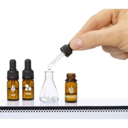 Miniverse - Fragrances - Boîte complete avec les 15 boules a collecti