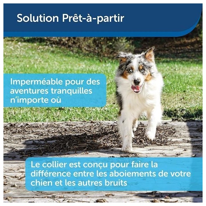 PetSafe - Collier anti aboiement pour Chien, Stimulation Eléctrostatique Progressive (6 Niveaux), Lot de 2 Piles RFA-67 (6V) PetSafe - Collier anti aboiement pour Chien, Stimulation Eléctrostatique Progressive (6 Niveaux), Lot de 2 Piles RFA-67 (6V)