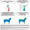 Frontline Spot On chien - Anti-puces anti-tiques pour chien L - 20-40k