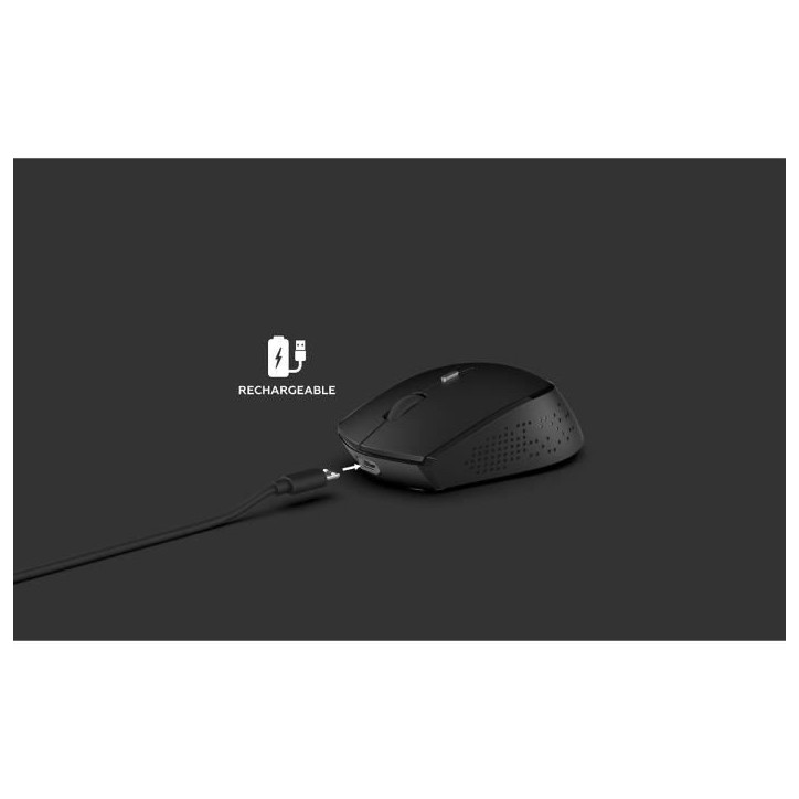 Souris sans fil rechargeable - MOBILITY - USB-C