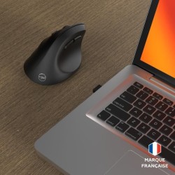 Souris sans fil - 2x Bluetooth + récepteur USB 2,4GHz - MOBILITY LAB