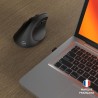 Souris sans fil - 2x Bluetooth + récepteur USB 2,4GHz - MOBILITY LAB