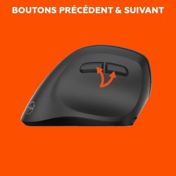 Souris sans fil - 2x Bluetooth + récepteur USB 2,4GHz - MOBILITY LAB