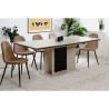 Table extensible - ARONA - Rectangulaire - 10 personnes - 160/200 x 76