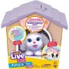 Niche surprise - Moose Toys - Chien rose - Modele aléatoire - Accesso