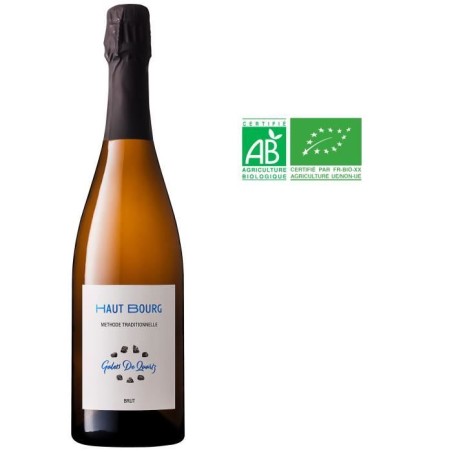 Vin Effervescent de Loire Galets de Quartz Domaine de Haut Bourg Méth