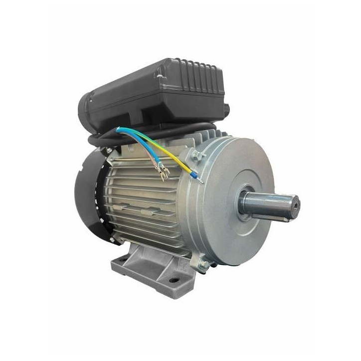 Moteur électrique 3CV/230V avec poulie - DOMAC Moteur électrique 3CV/230V avec poulie - DOMAC