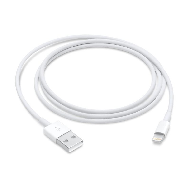 Câble Lightning vers USB - APPLE - 1 m Câble Lightning vers USB - APPLE - 1 m