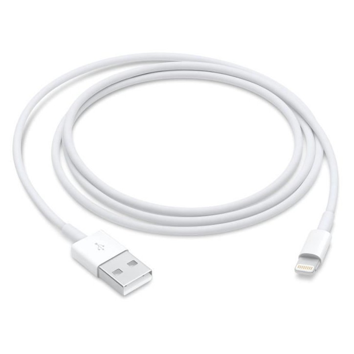 Câble Lightning vers USB - APPLE - 1 m Câble Lightning vers USB - APPLE - 1 m