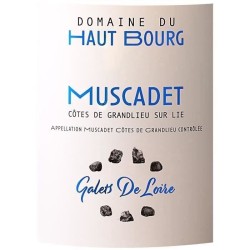 Domaine du Haut Bourg 2023 Muscadet Côtes de Grandlieu Sur Lie - Vin