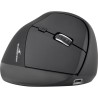 Souris Ergonomique Sans Fil - BLUESTORK - ERGO - Rechargeable - PC/MAC Souris Ergonomique Sans Fil - BLUESTORK - ERGO - Rechargeable - PC/MAC