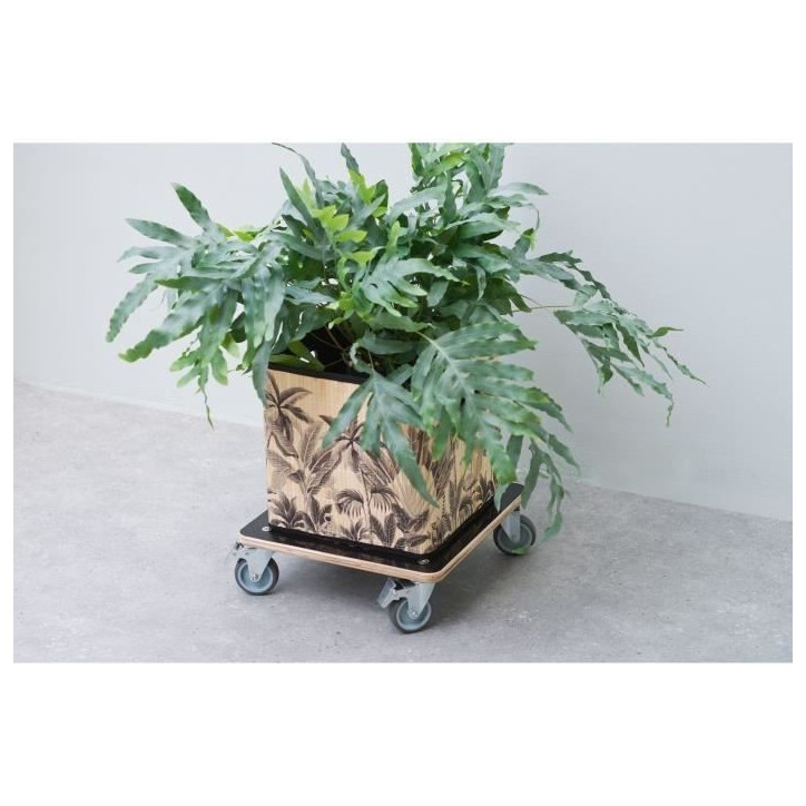Tablette a roulettes pour plantes - NATURE - Chariot a plantes carré - Bois noir - 38x38 cm - Charge 250 kg Tablette a roulettes pour plantes - NATURE - Chariot a plantes carré - Bois noir - 38x38 cm - Charge 250 kg