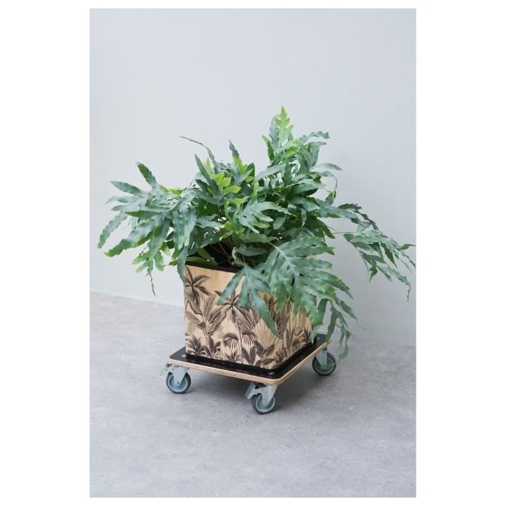 Tablette a roulettes pour plantes - NATURE - Chariot a plantes carré - Bois noir - 38x38 cm - Charge 250 kg Tablette a roulettes pour plantes - NATURE - Chariot a plantes carré - Bois noir - 38x38 cm - Charge 250 kg