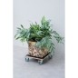 Tablette a roulettes pour plantes - NATURE - Chariot a plantes carré - Bois noir - 38x38 cm - Charge 250 kg