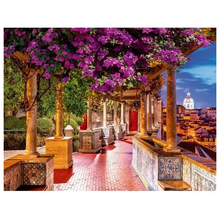 Nathan puzzle 2000 p Le