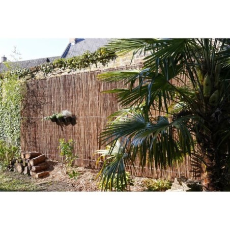 Canisse fagot d'osier fin - NATURE - 1 x 3 m - Occultant 4/5