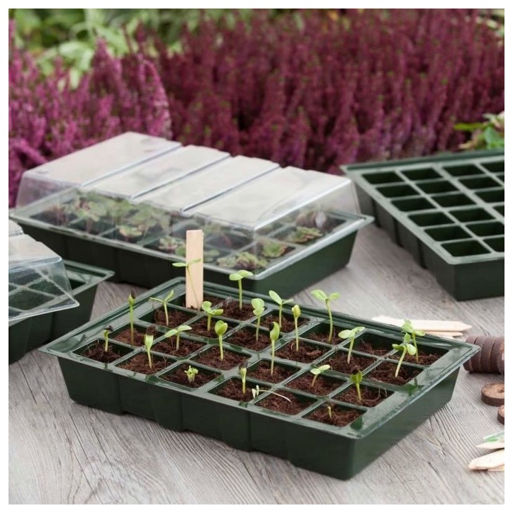 Mini serre de culture - NATURE - Lot de 4 terrines en plastique souple - Plateaux 24 alvéoles - H11x35x23,5 cm Mini serre de culture - NATURE - Lot de 4 terrines en plastique souple - Plateaux 24 alvéoles - H11x35x23,5 cm