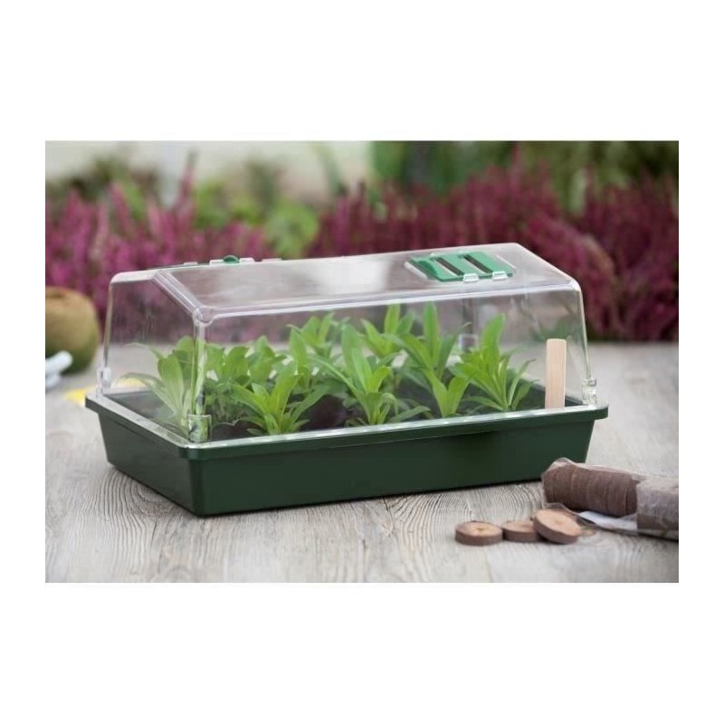 Mini-serre rigide - NATURE - Couvercle ventilé - H18x37x24 cm - Vert Mini-serre rigide - NATURE - Couvercle ventilé - H18x37x24 cm - Vert
