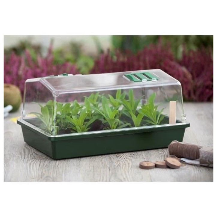 Mini-serre rigide - NATURE - Couvercle ventilé - H18x37x24 cm - Vert Mini-serre rigide - NATURE - Couvercle ventilé - H18x37x24 cm - Vert