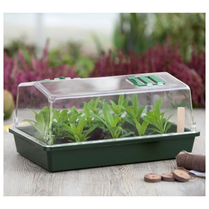 Mini-serre rigide - NATURE - Couvercle ventilé - H18x37x24 cm - Vert Mini-serre rigide - NATURE - Couvercle ventilé - H18x37x24 cm - Vert