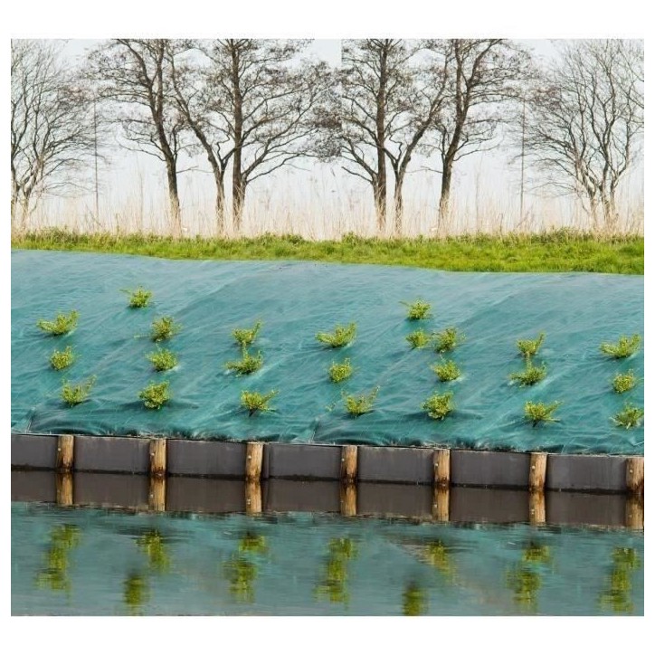 Toile de paillage paysages verte, 1 x 10 m, traité anti UV, 100 g/m² - Bâche de sol anti mauvaises herbes Toile de paillage paysages verte, 1 x 10 m, traité anti UV, 100 g/m² - Bâche de sol anti mauvaises herbes