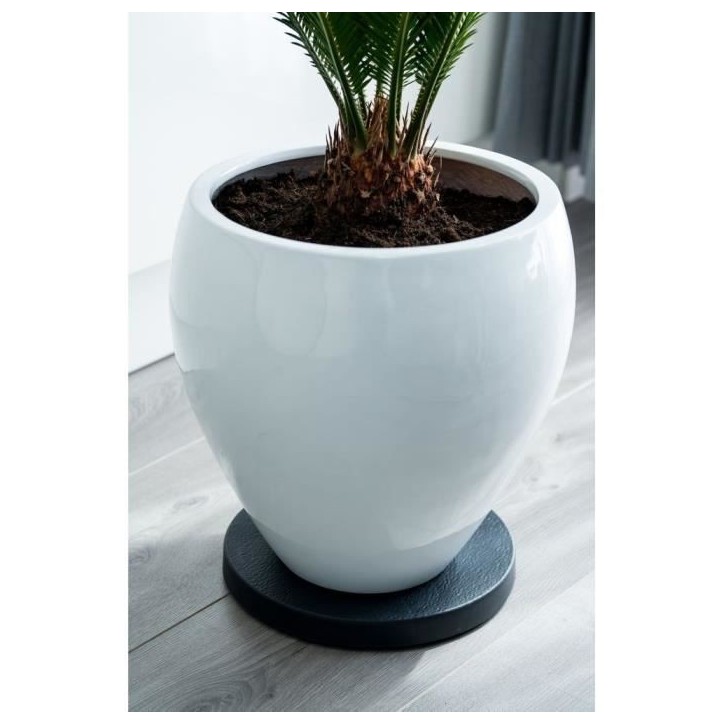 NATURE Tablette a roulettes pour plantes - Polypropylene - H4 x Ø29,2 cm NATURE Tablette a roulettes pour plantes - Polypropylene - H4 x Ø29,2 cm