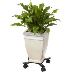 Support de pot roulant extensible - NATURE - En métal époxy noir mat