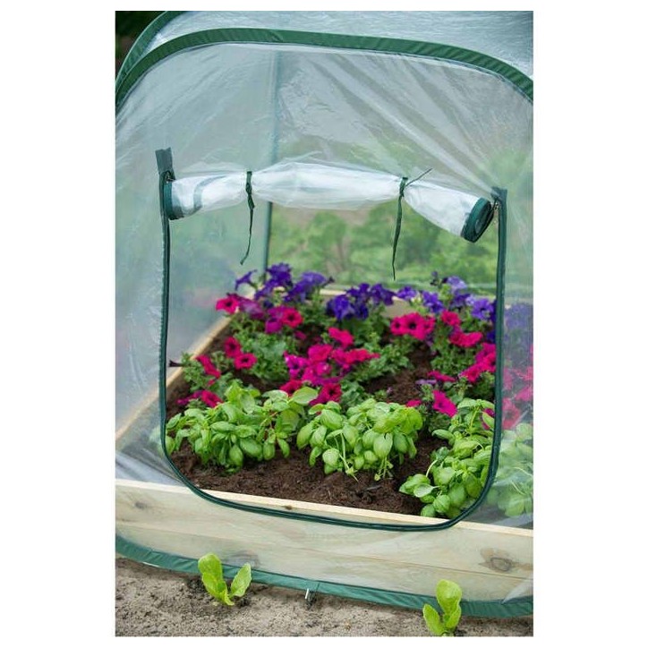 Serre de jardin Pop-Up - NATURE - 100x100x100 cm - PE transparent - Protection anti-UV Serre de jardin Pop-Up - NATURE - 100x100x100 cm - PE transparent - Protection anti-UV
