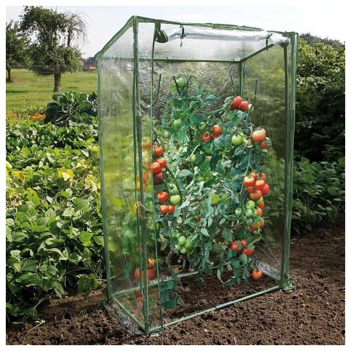 Nature Serre a tomates 100x50x150 cm Nature Serre a tomates 100x50x150 cm