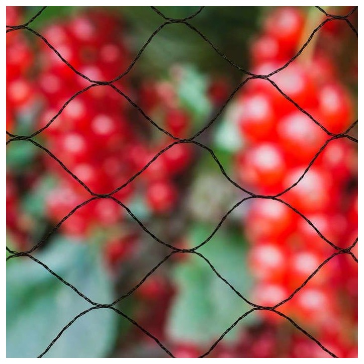 Filet anti-oiseaux NATURE Primo 10 x 10 m Noir - Mailles 28mm - Polyéthylene 12gr/m²
