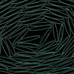 Canisse PVC double face - NATURE - 1 x 3 m - 1600 g/m² - Occultant 4/