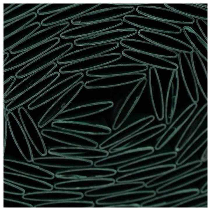 Canisse PVC double face - NATURE - 1 x 3 m - 1600 g/m² - Occultant 4/5 - Anti-UV - Vert Canisse PVC double face - NATURE - 1 x 3 m - 1600 g/m² - Occultant 4/5 - Anti-UV - Vert