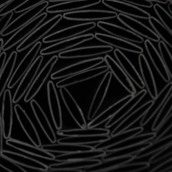 Canisse PVC double face - NATURE - 1 x 3 m - 1600 g/m² - Occultant 4/