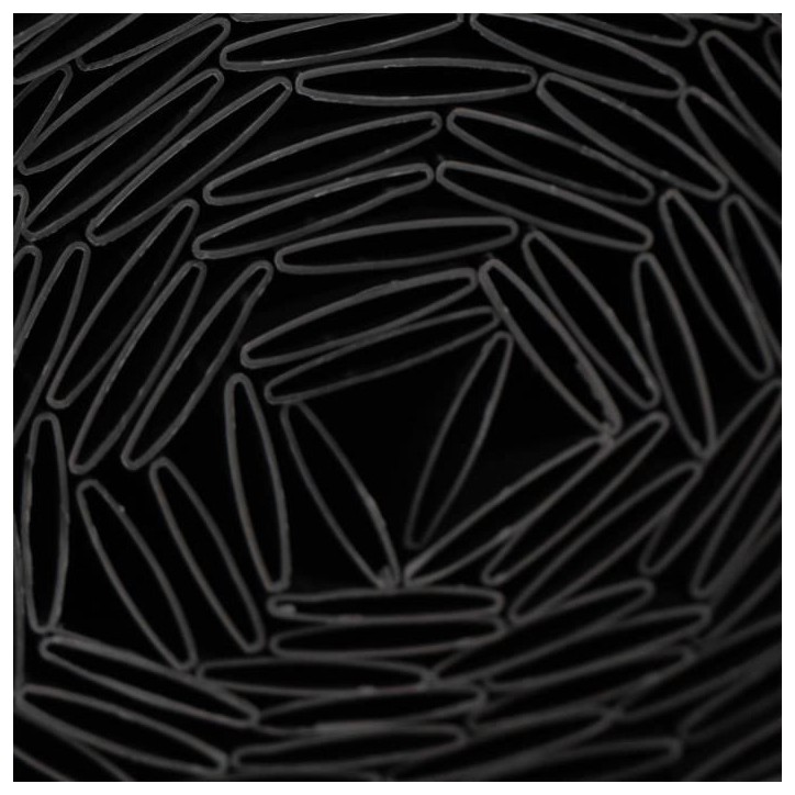Canisse PVC double face - NATURE - 1 x 3 m - 1600 g/m² - Occultant 4/5 - Anti-UV - Anthracite Canisse PVC double face - NATURE - 1 x 3 m - 1600 g/m² - Occultant 4/5 - Anti-UV - Anthracite