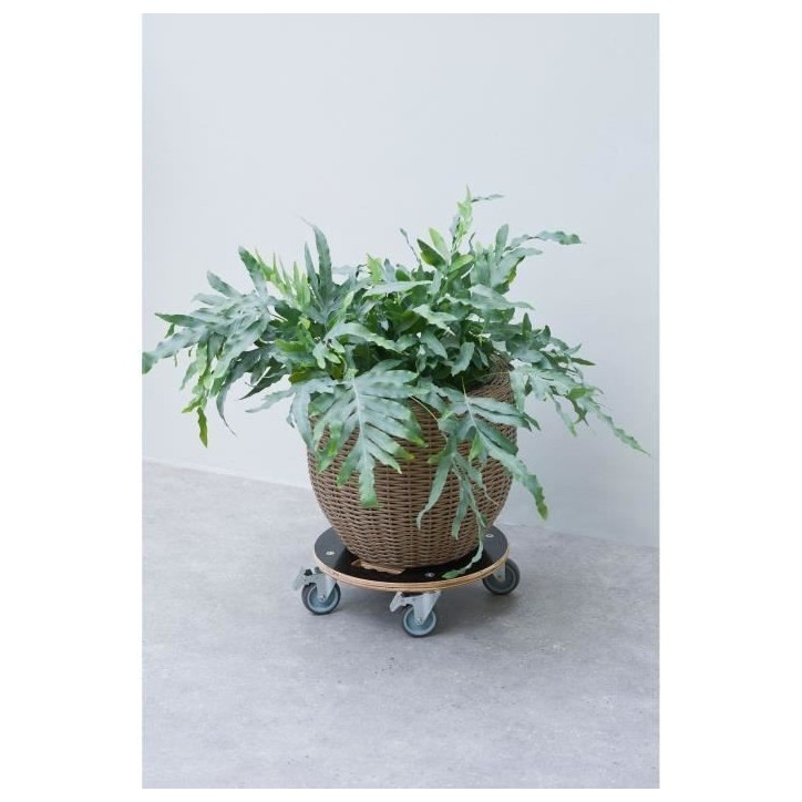 Support de pot roulant carré - NATURE - Bois FSC - Charge max 250 kg - Roues multidirectionnelles Support de pot roulant carré - NATURE - Bois FSC - Charge max 250 kg - Roues multidirectionnelles