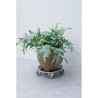 Support de pot roulant carré - NATURE - Bois FSC - Charge max 250 kg