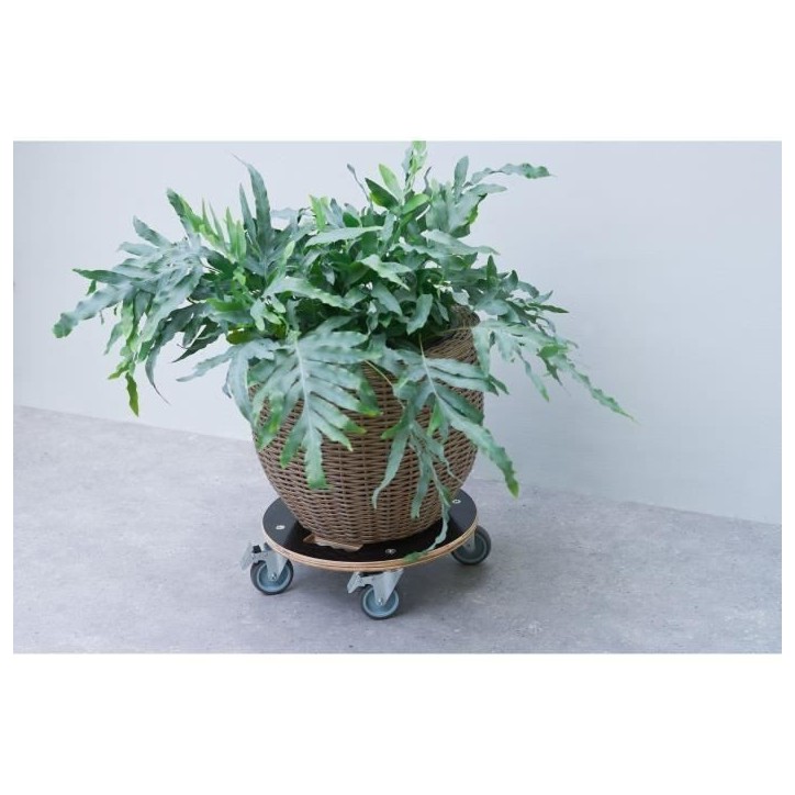 Support de pot roulant carré - NATURE - Bois FSC - Charge max 250 kg - Roues multidirectionnelles Support de pot roulant carré - NATURE - Bois FSC - Charge max 250 kg - Roues multidirectionnelles