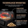 Barbecue électrique et fumoir NINJA - Woodfire OG701EU - 7 programmes
